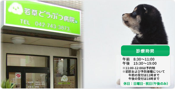 若草どうぶつ病院　特徴的な診療